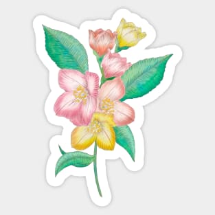 Spring flowers Sticker